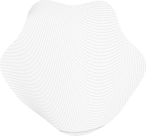 SpeedNET Shape